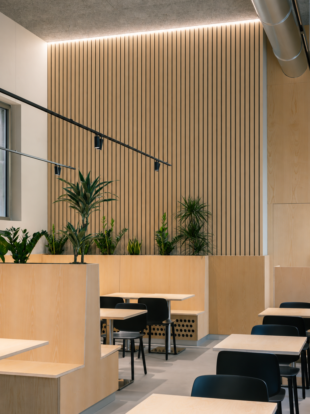 White oak slat wall panels with greenery in a contemporary cafe
